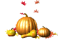 Pumpkin