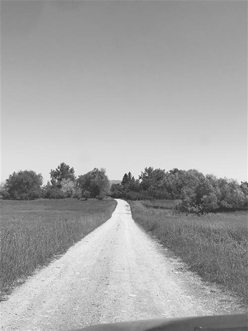 Home