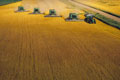 harvest
